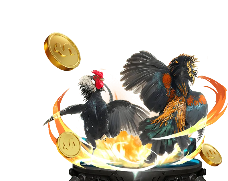 Tổng quan thương hiệu 12Play